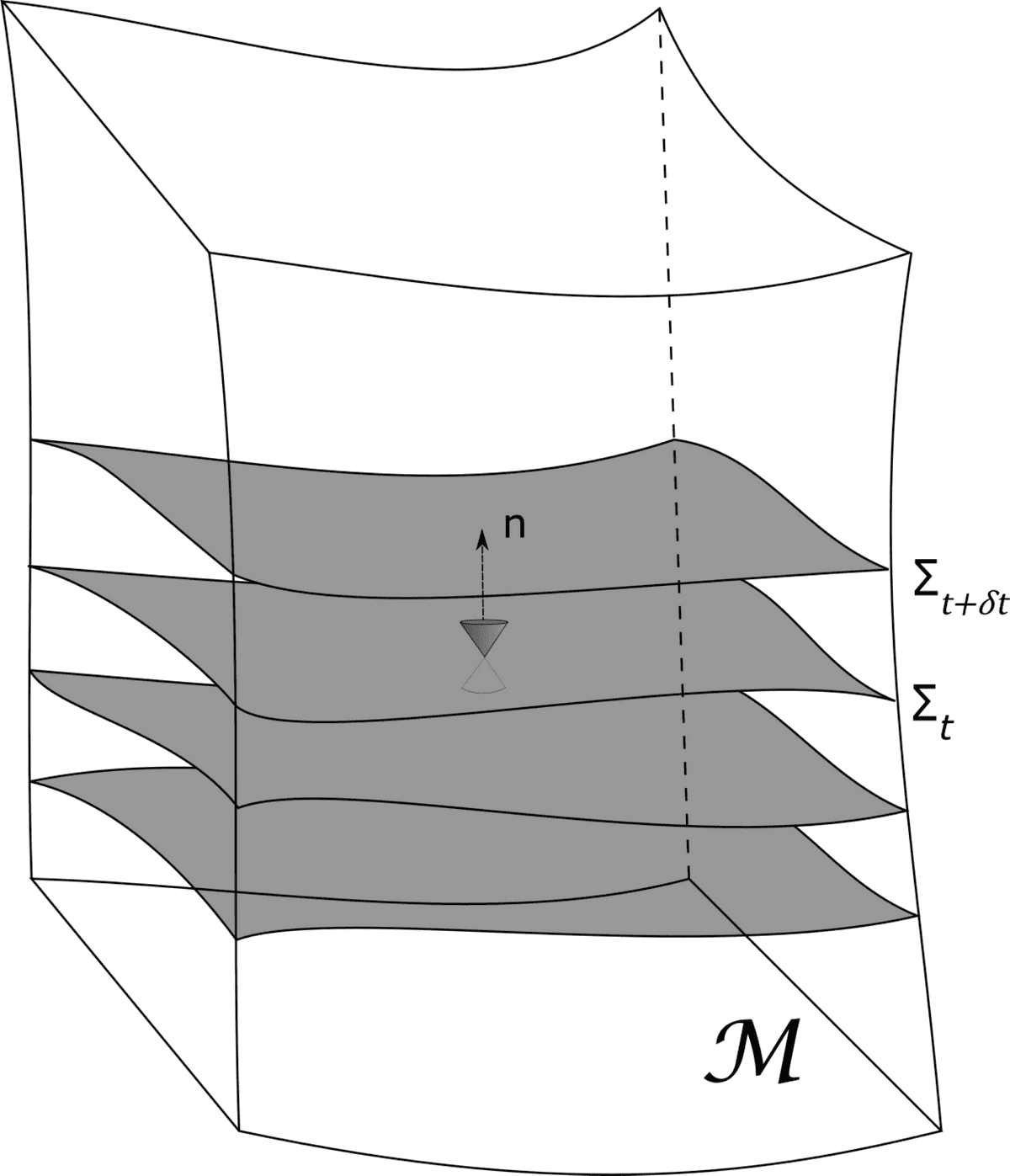 Foliation